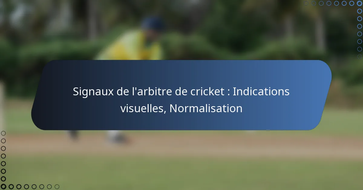 Signaux de l’arbitre de cricket : Indications visuelles, Normalisation