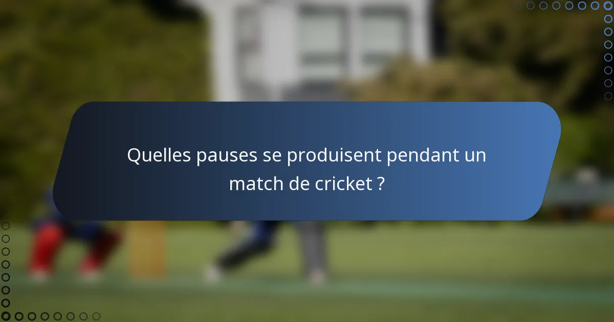Quelles pauses se produisent pendant un match de cricket ?