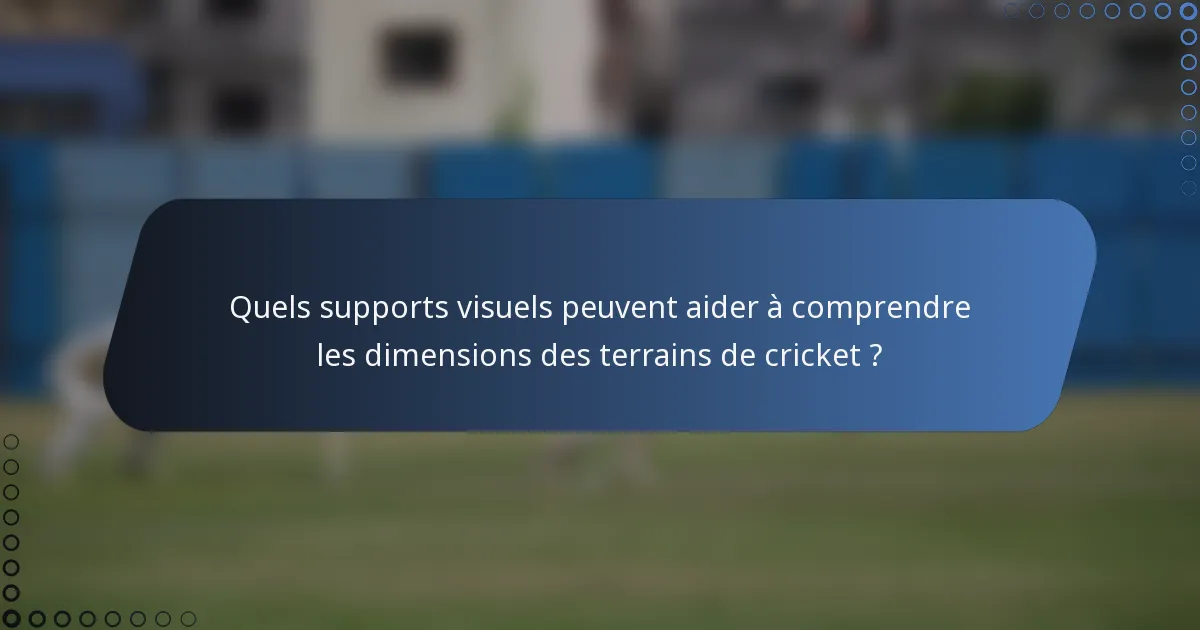 Quels supports visuels peuvent aider à comprendre les dimensions des terrains de cricket ?